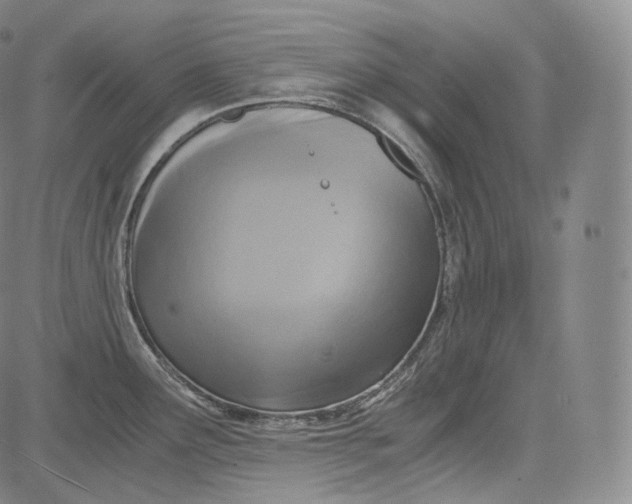 X0000084041291200703022139