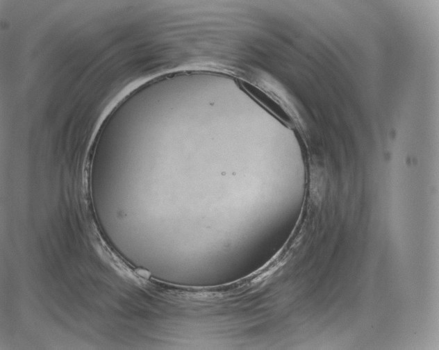 X0000084041292200703022139