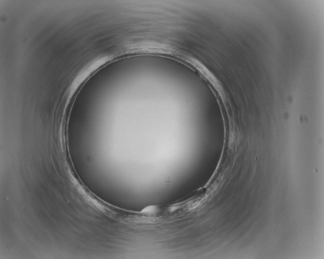 X0000084041293200703022139