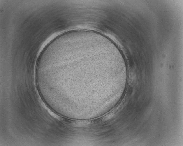 X0000084041294200703022139