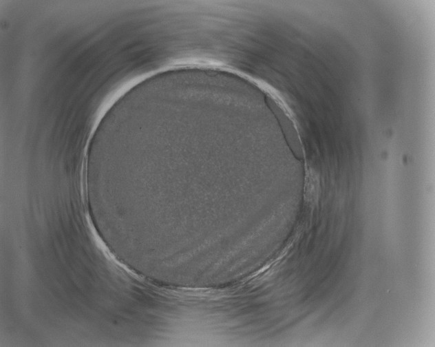 X0000084041295200703022139