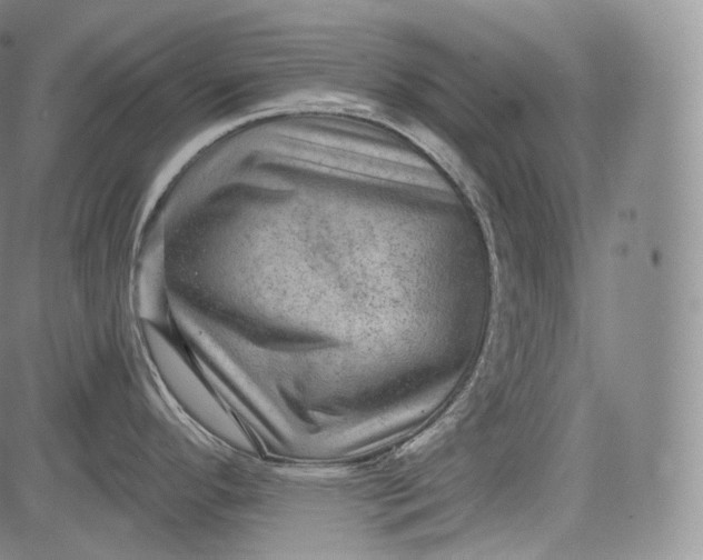 X0000084041296200703022139