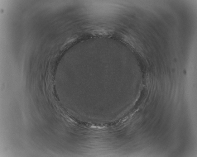 X0000084041297200703022138