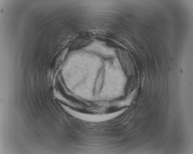 X0000084041298200703022138