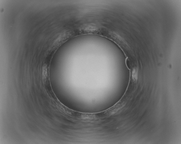 X0000084041299200703022138