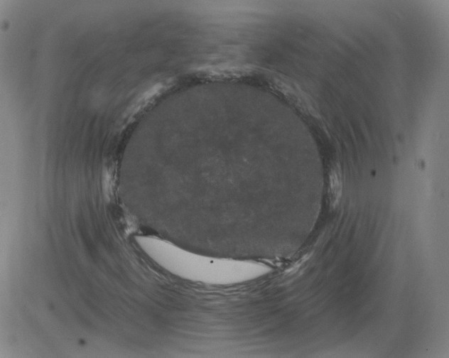 X0000084041300200703022138