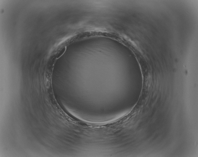 X0000084041303200703022138