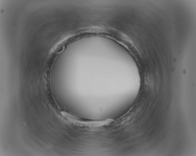 X0000084041304200703022138