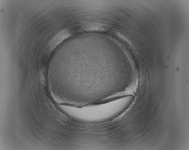 X0000084041305200703022138