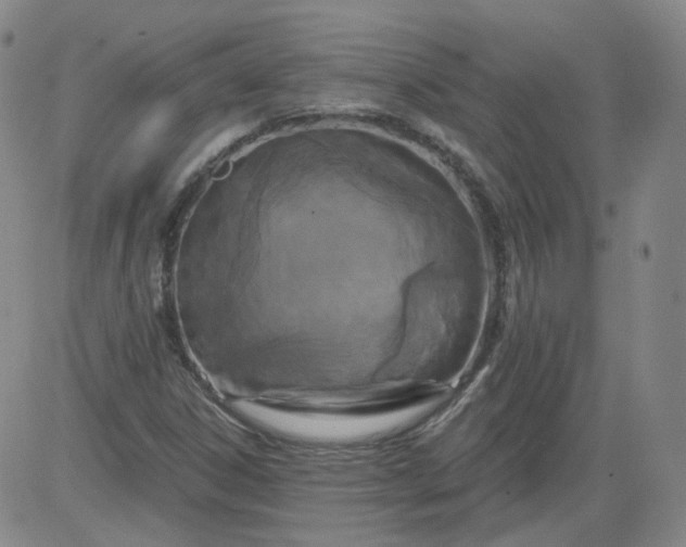 X0000084041306200703022138