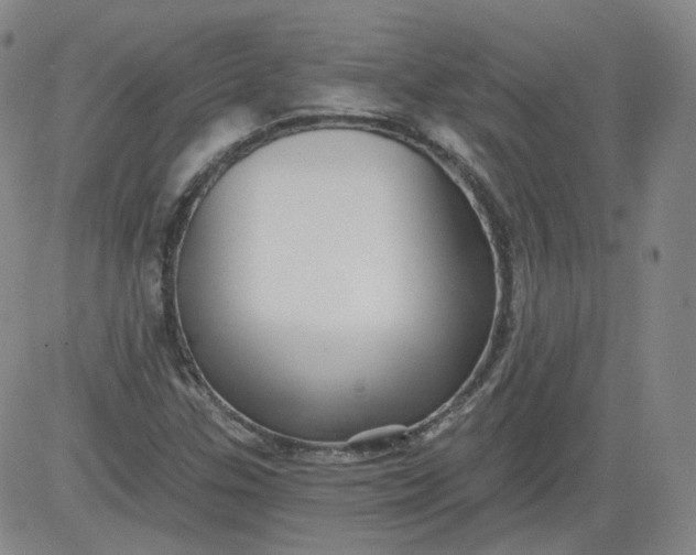 X0000084041307200703022138