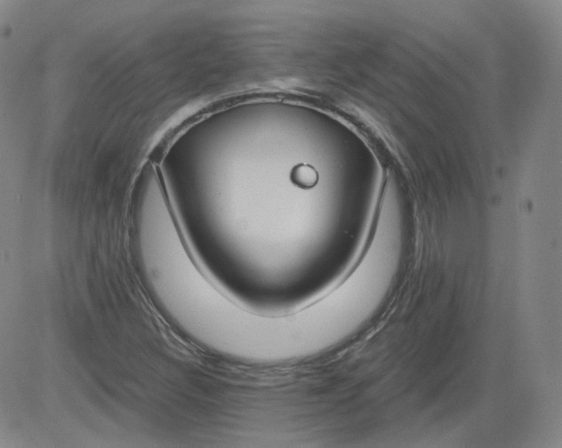 X0000084041308200703022138