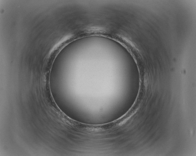 X0000084041309200703022138