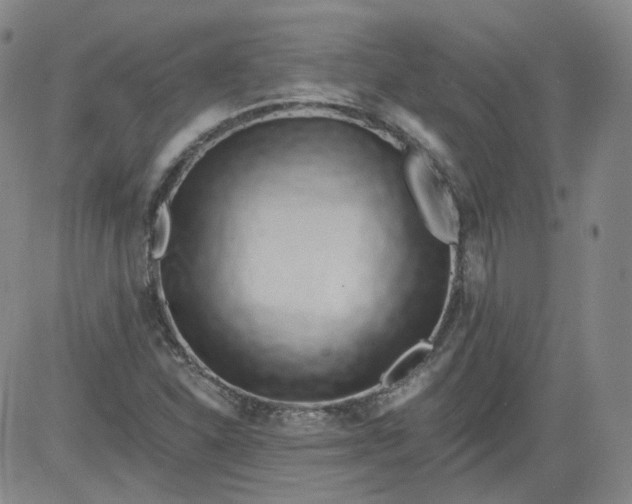 X0000084041310200703022138