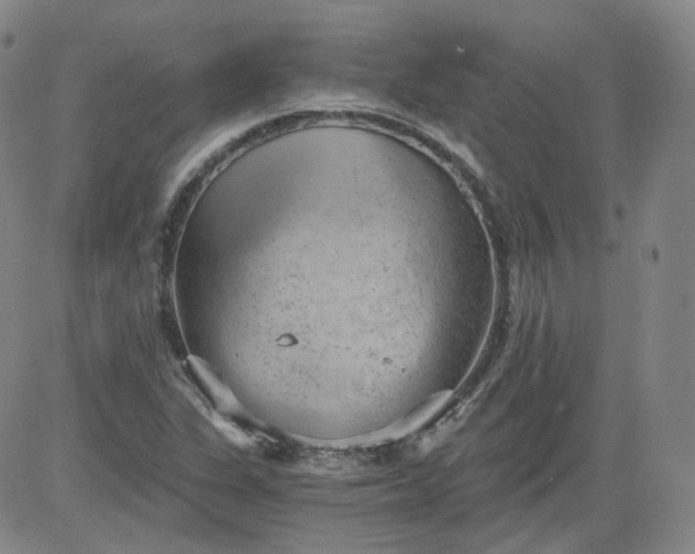 X0000084041311200703022138