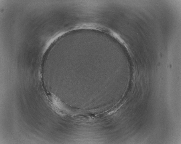 X0000084041312200703022138