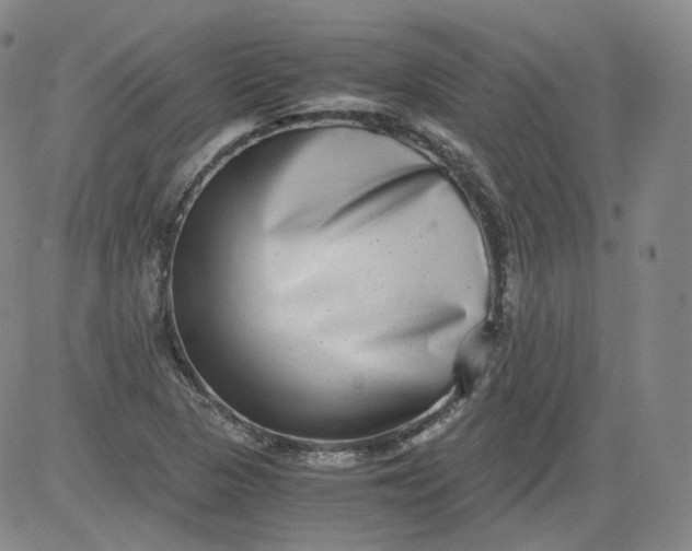 X0000084041313200703022139