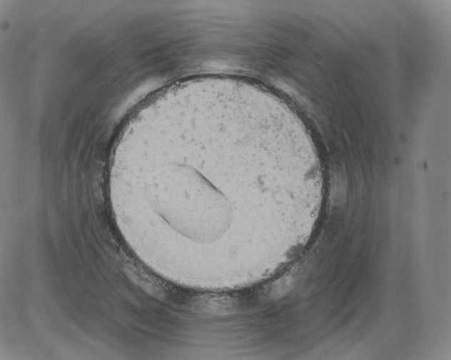 X0000084041314200703022139