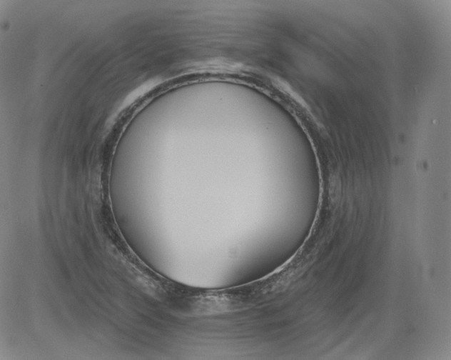 X0000084041315200703022139