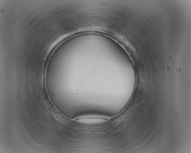 X0000084041316200703022139