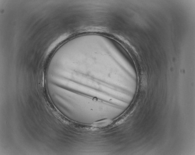 X0000084041317200703022139