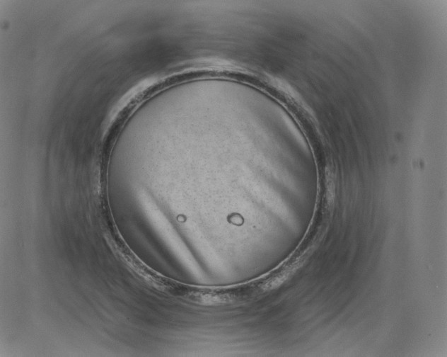 X0000084041318200703022139