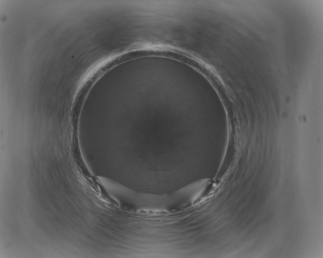 X0000084041319200703022139