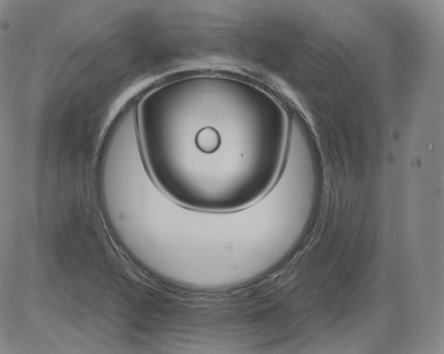 X0000084041320200703022139