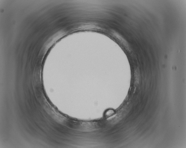 X0000084041322200703022139