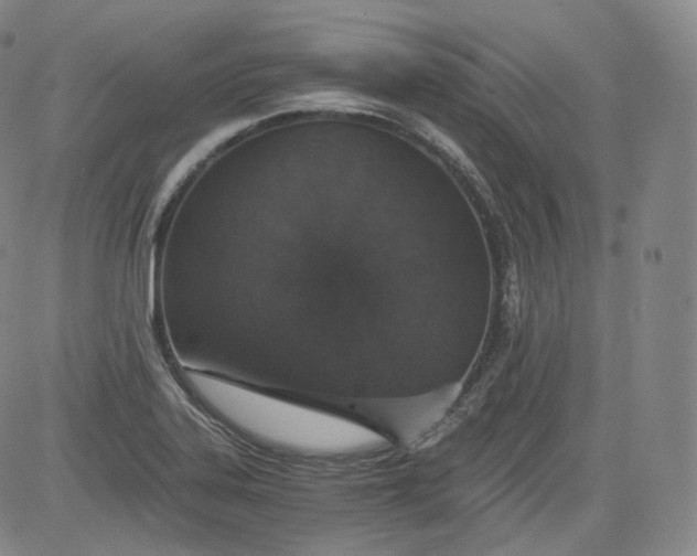 X0000084041323200703022139