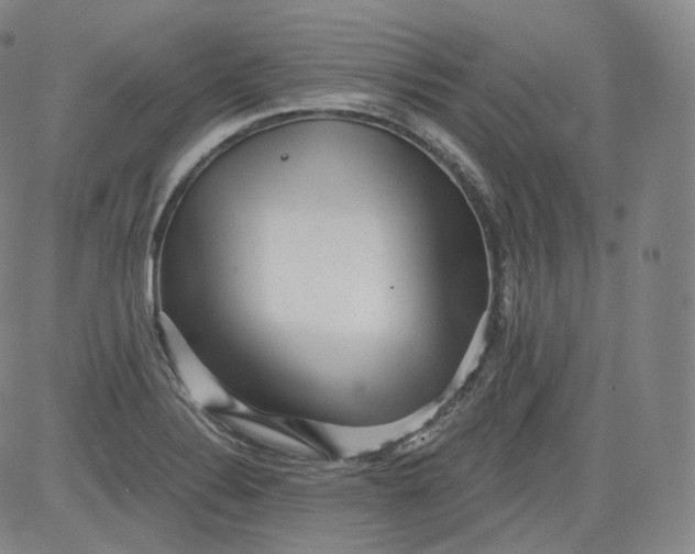 X0000084041324200703022139