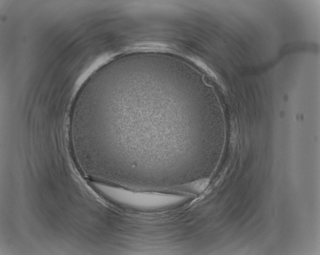 X0000084041325200703022139