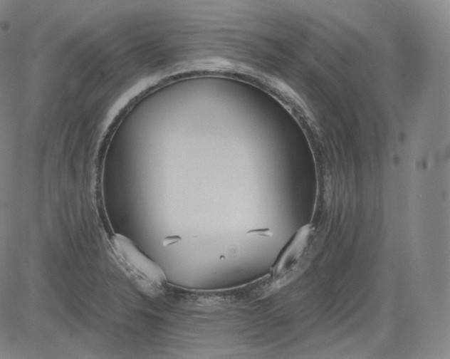 X0000084041326200703022139