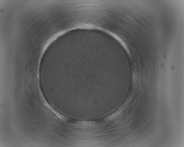 X0000084041327200703022139