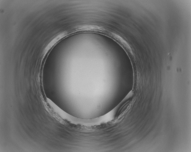 X0000084041330200703022139