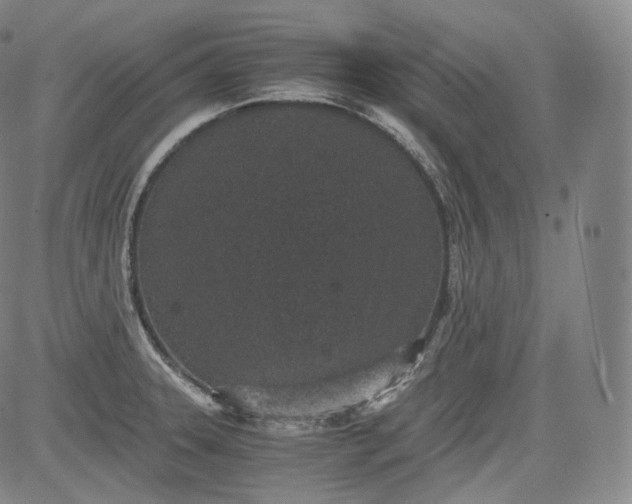 X0000084041331200703022139