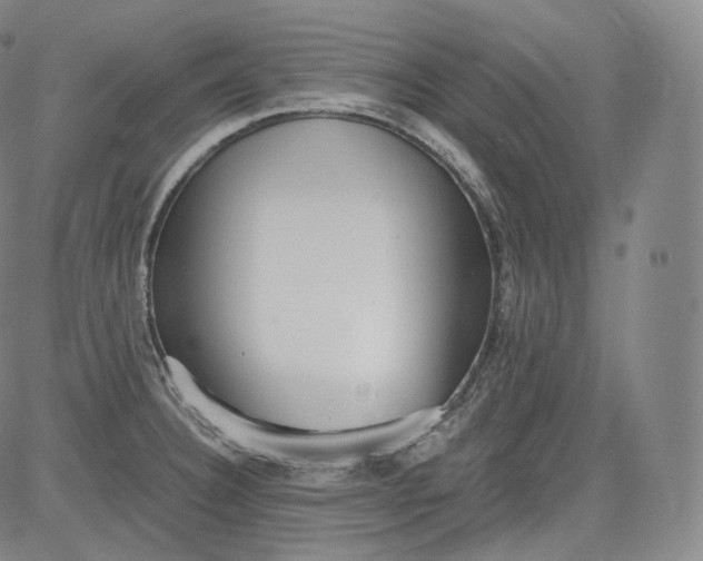 X0000084041332200703022139