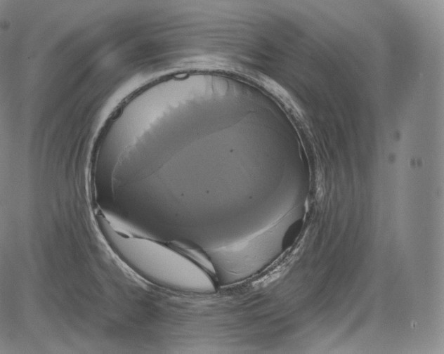 X0000084041334200703022139