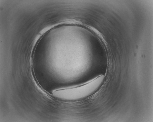 X0000084041335200703022139