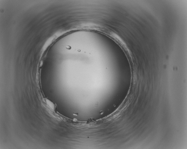 X0000084041336200703022139