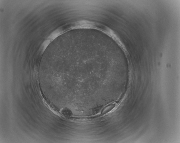 X0000084041337200703022139