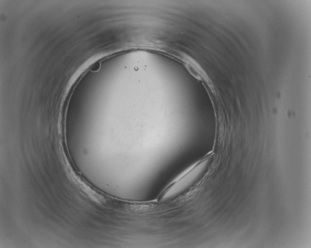 X0000084041339200703022139