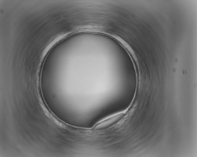 X0000084041341200703022139