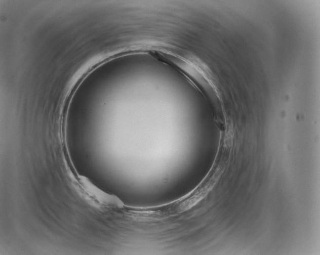 X0000084041342200703022139