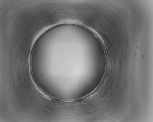 X0000084041343200703022139