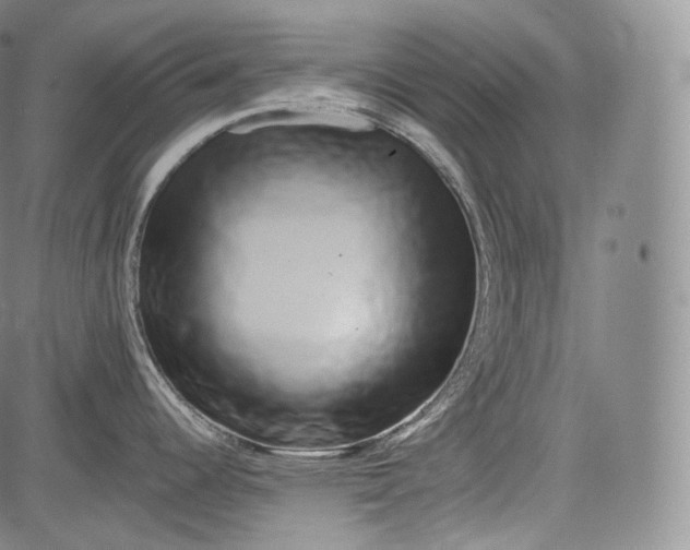 X0000084041344200703022139