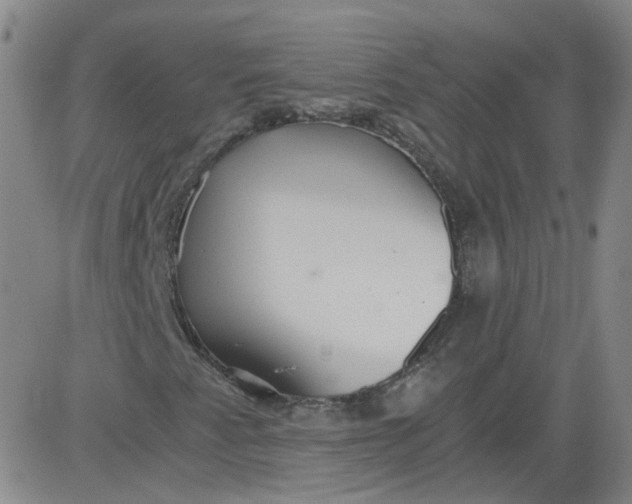 X0000084041345200703022138