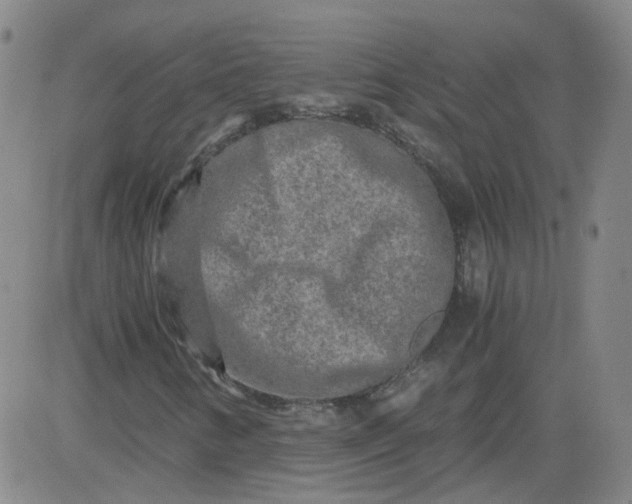 X0000084041346200703022138