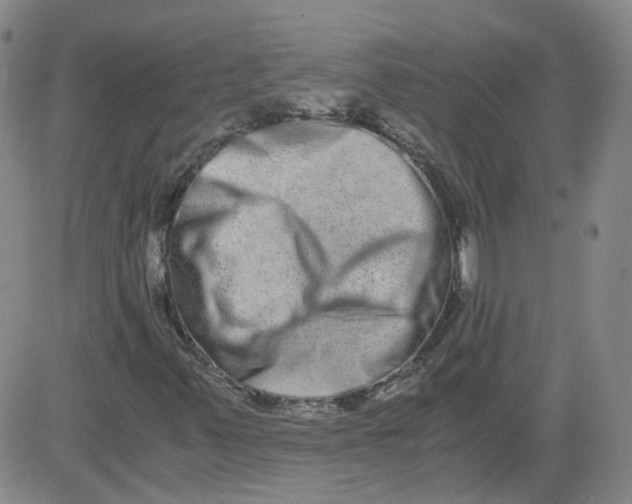 X0000084041347200703022138