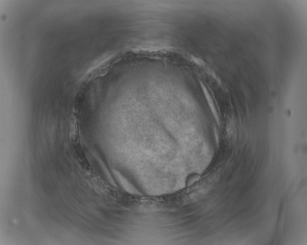 X0000084041350200703022138